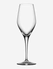 Orrefors - SENSE SPARKLING 25,5 CL 6-PACK - Šampanjaklaasid - clear - 0
