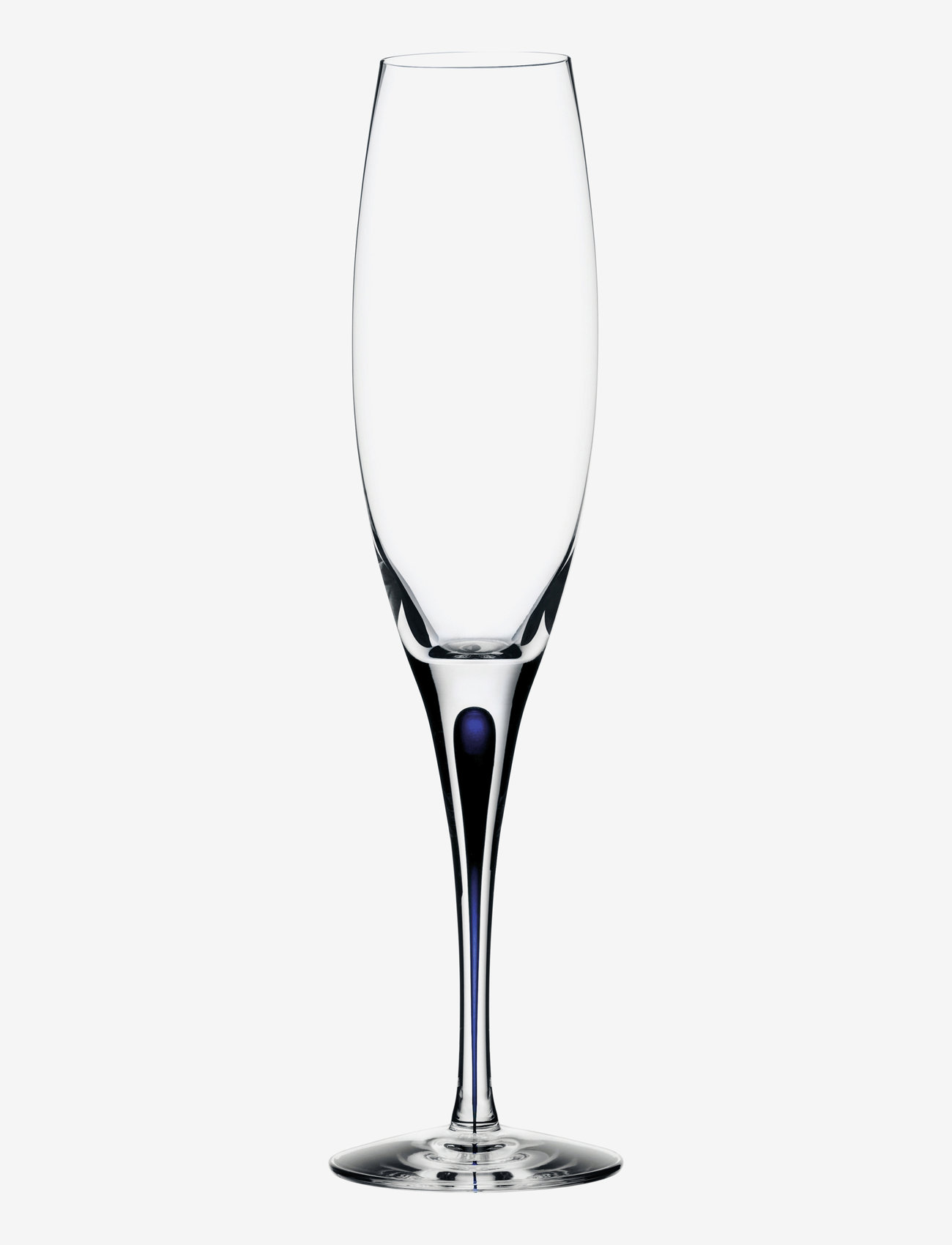 Orrefors - INTERMEZZO BLÅ CHAMPAGNE 26CL (20CL) - champagneglas - blue - 0