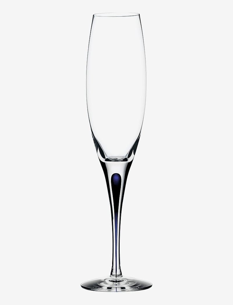 Orrefors - INTERMEZZO BLUE CHAMPAGNE 26CL (20CL) - nach preis einkaufen - blue - 0