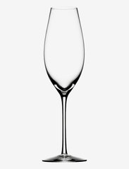 Orrefors - DIFFERENCE SPARKLING 32CL (31CL) - champagne glasses - clear - 0