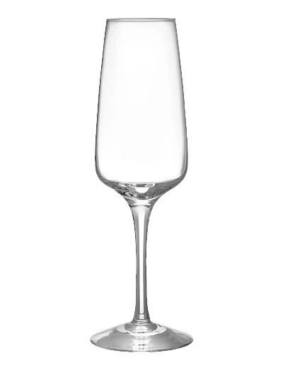 Orrefors Pulse champagne glass 28cl 4-pack - Sektgläser - CLEAR / undefined