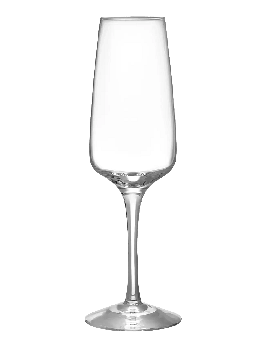 Orrefors - Pulse champagne glass 28cl 4-pack - clear - 1