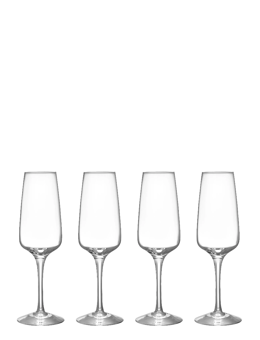Orrefors - Pulse champagne glass 28cl 4-pack - clear - 2