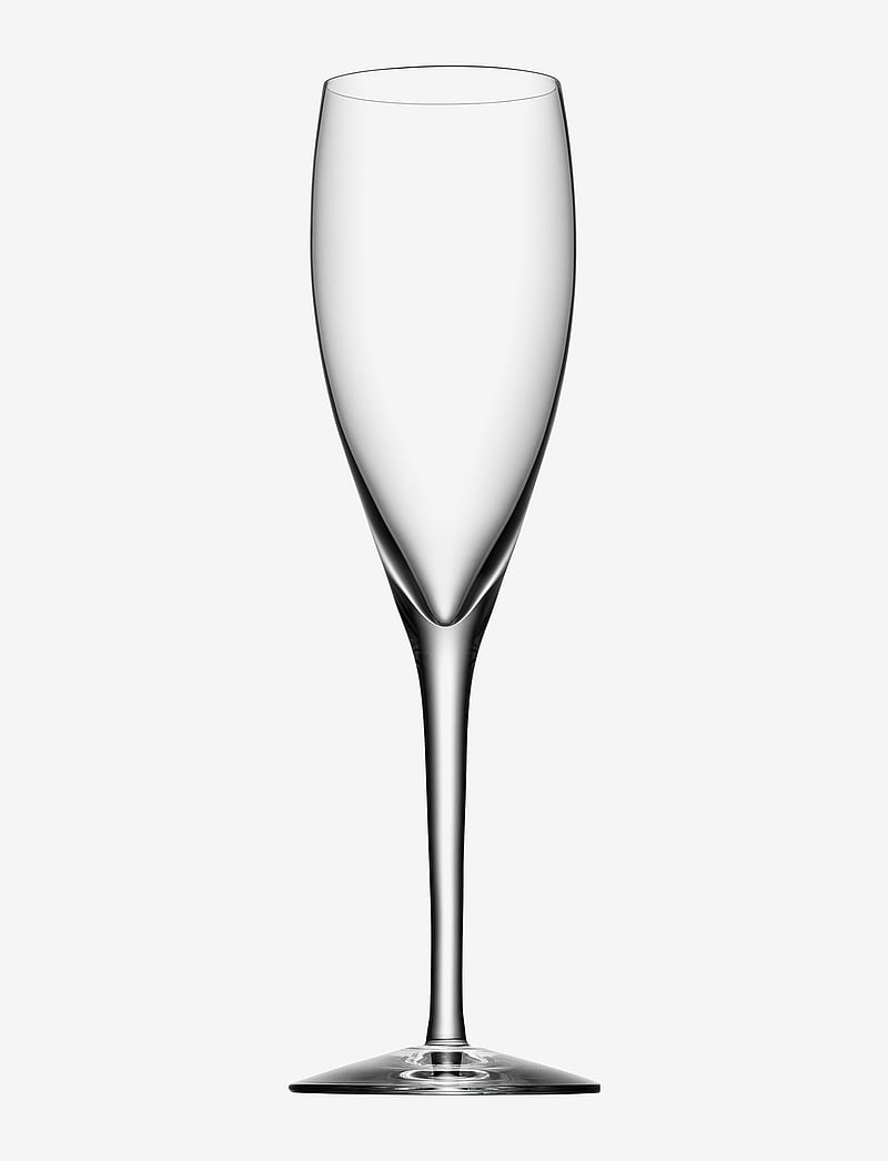 Orrefors - MORE CHAMPAGNE 4-PACK 18CL - sektgläser - clear - 0