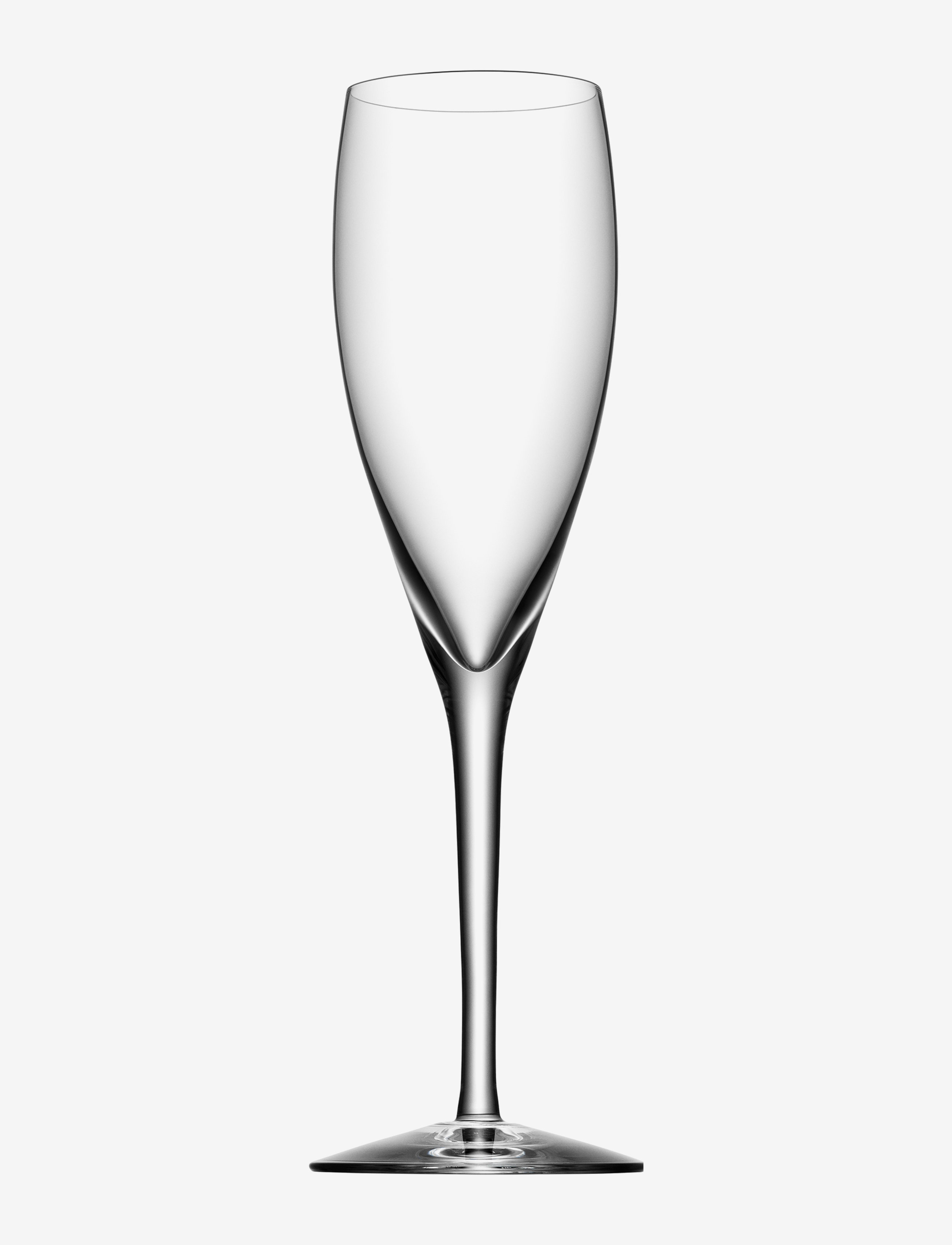 Orrefors MORE CHAMPAGNE 4-PACK 18CL - Borddækning - CLEAR / undefined