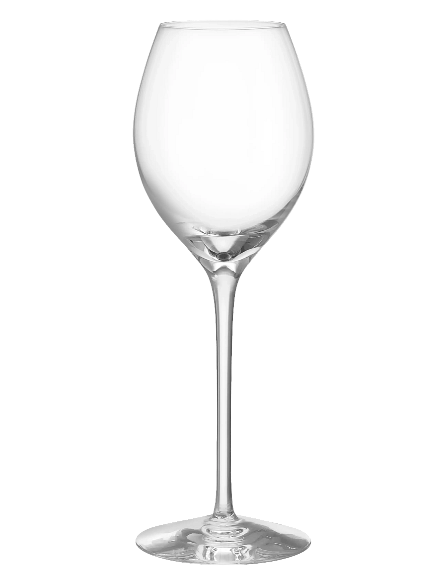 Orrefors - More Champagne Boule glas 31cl 2-pack - weißweingläser - clear - 1