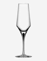 Orrefors - METROPOL CHAMPAGNE 27CL - champagne glasses - black - 0