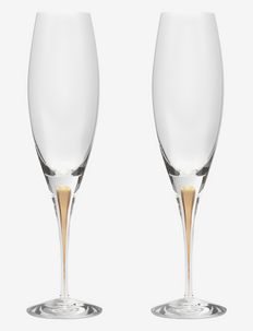Intermezzo Champagne glass gold 2-pack, Orrefors