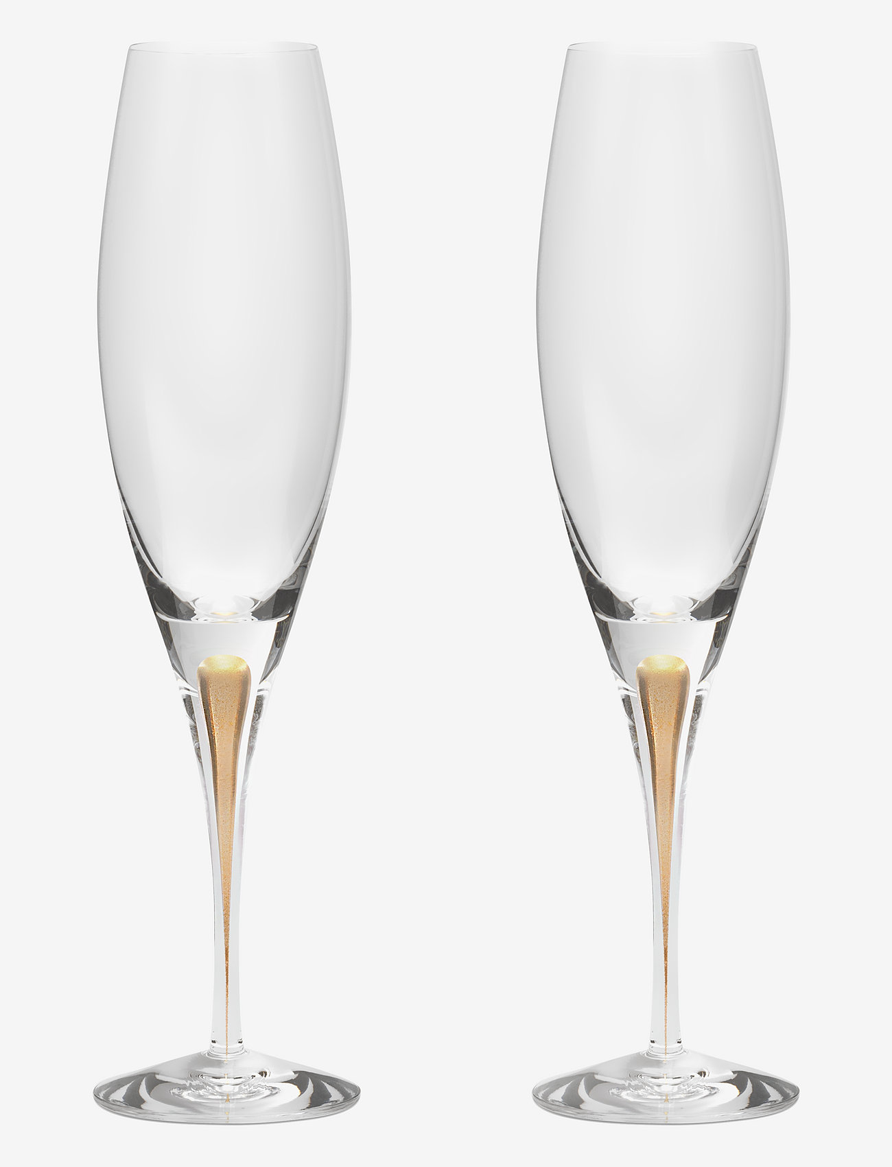 Orrefors - Intermezzo Champagne glass gold 2-pack - champagne glasses - gold - 1