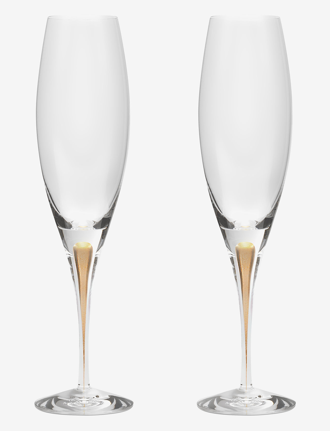 Orrefors - Intermezzo Champagne glass gold 2-pack - champagne glasses - gold - 0