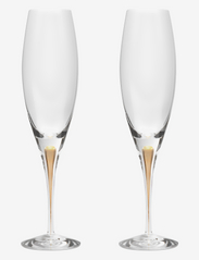 Orrefors - Intermezzo Champagneglass guld 26cl 2-pack - champagneglas - gold - 0