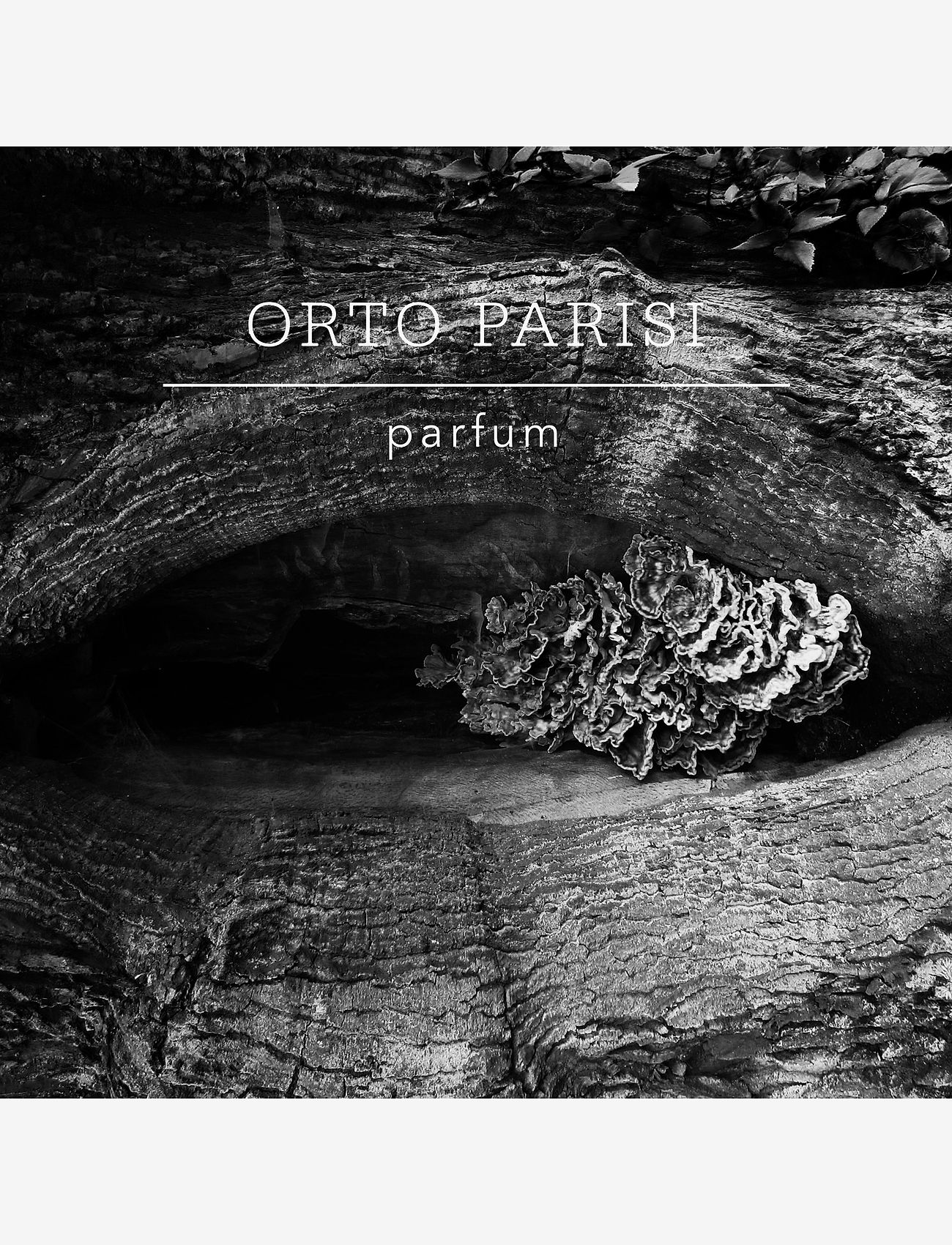 Orto Parisi - BOCCANERA - mõlemale soole - clear - 2