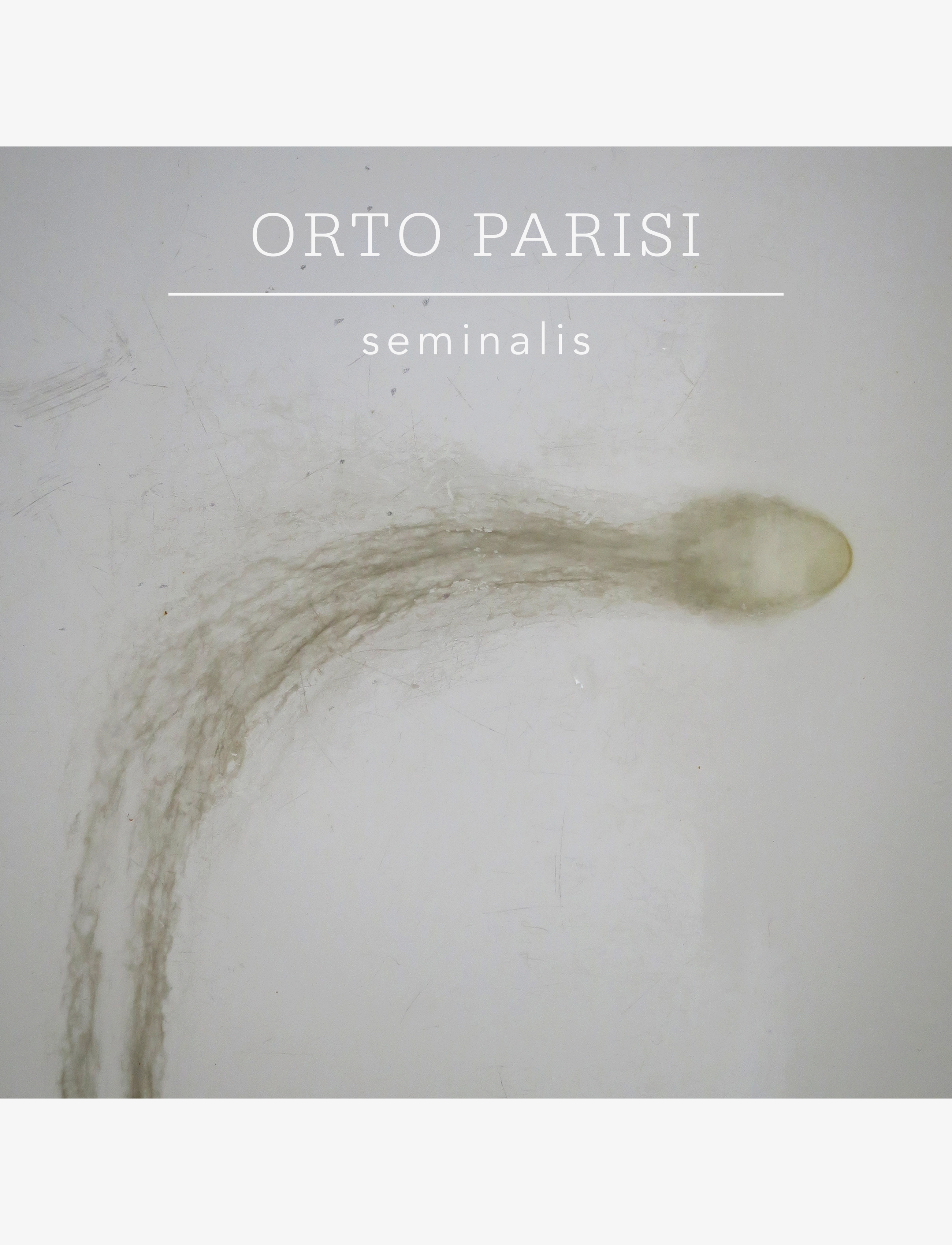 Seminalis 4