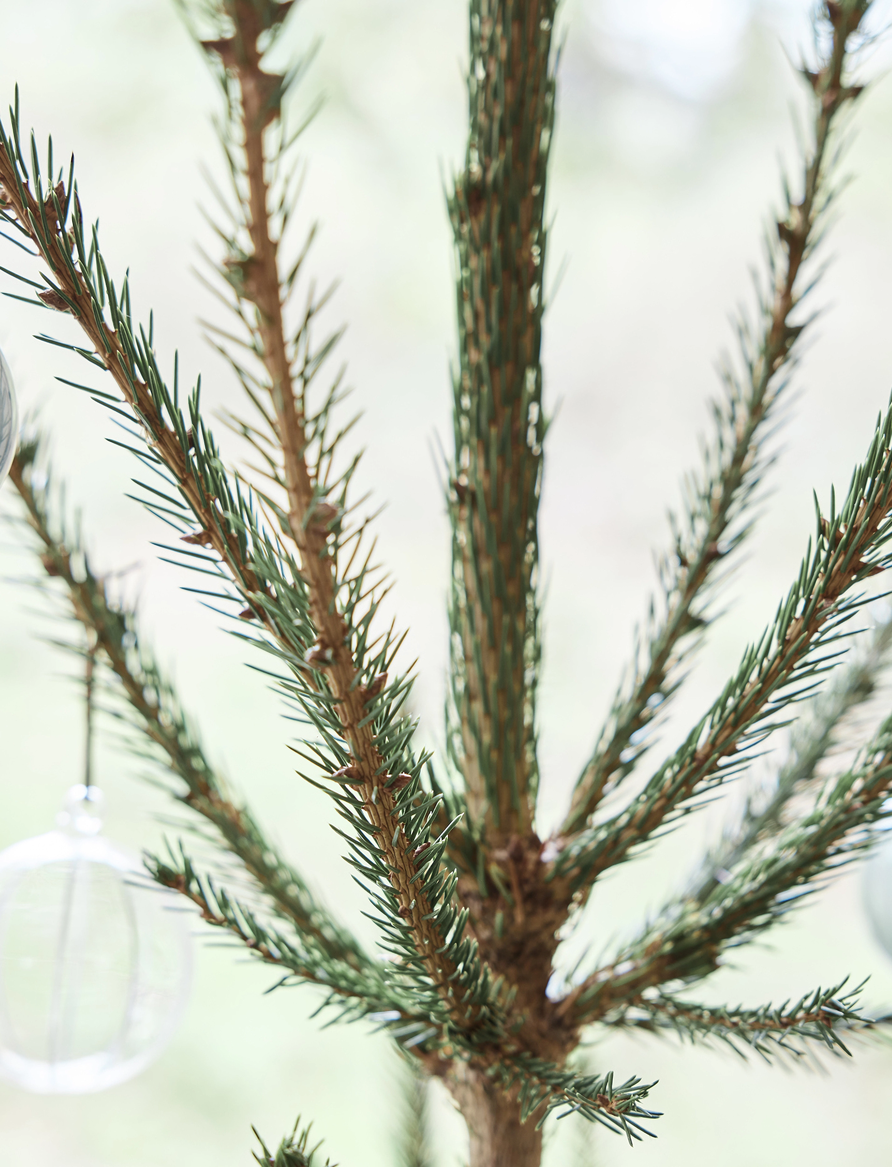 OYOY Living Design - Natale Christmas Glass Ball - clear - 3