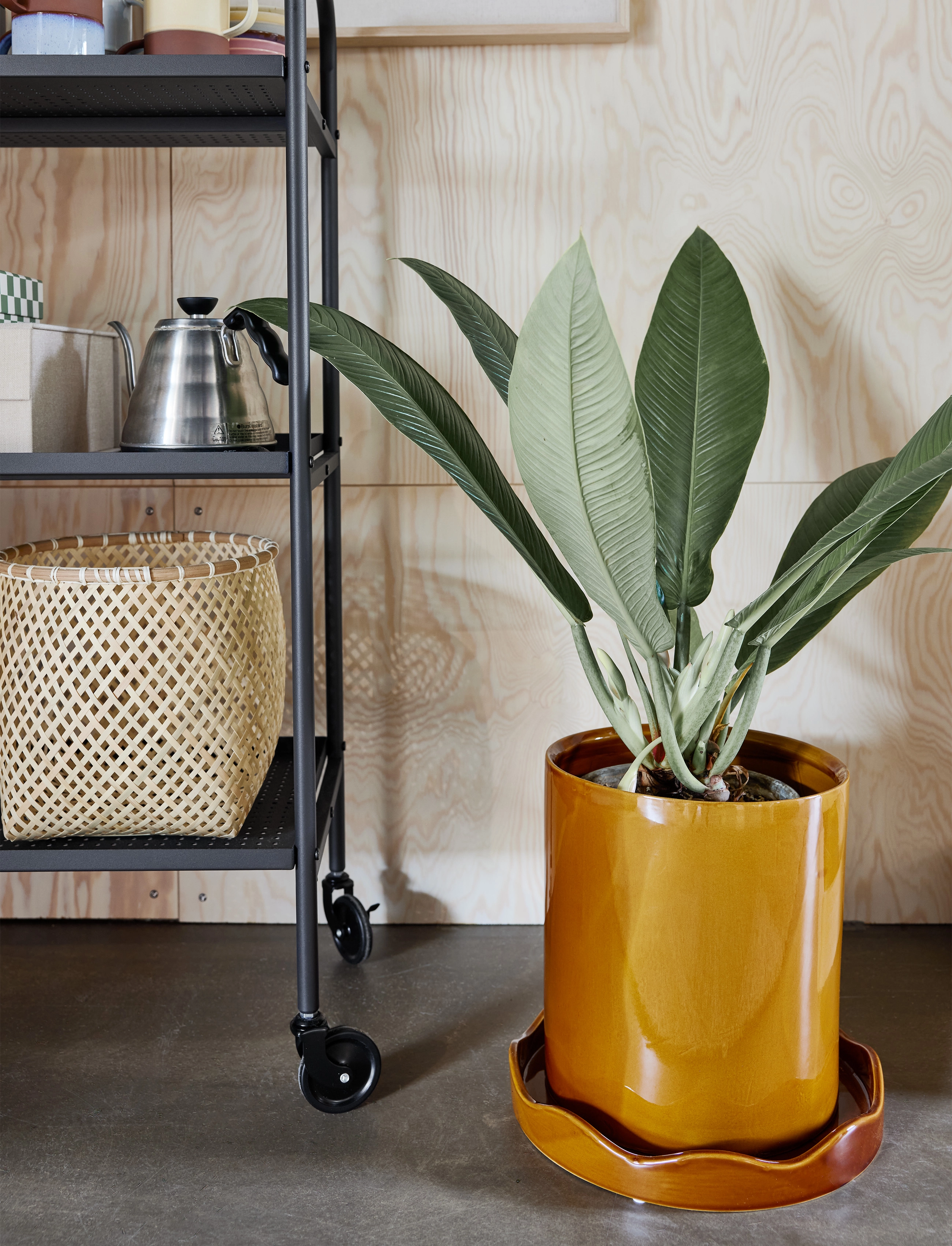 OYOY Living Design - Nami Pot with Saucer - amber - 1