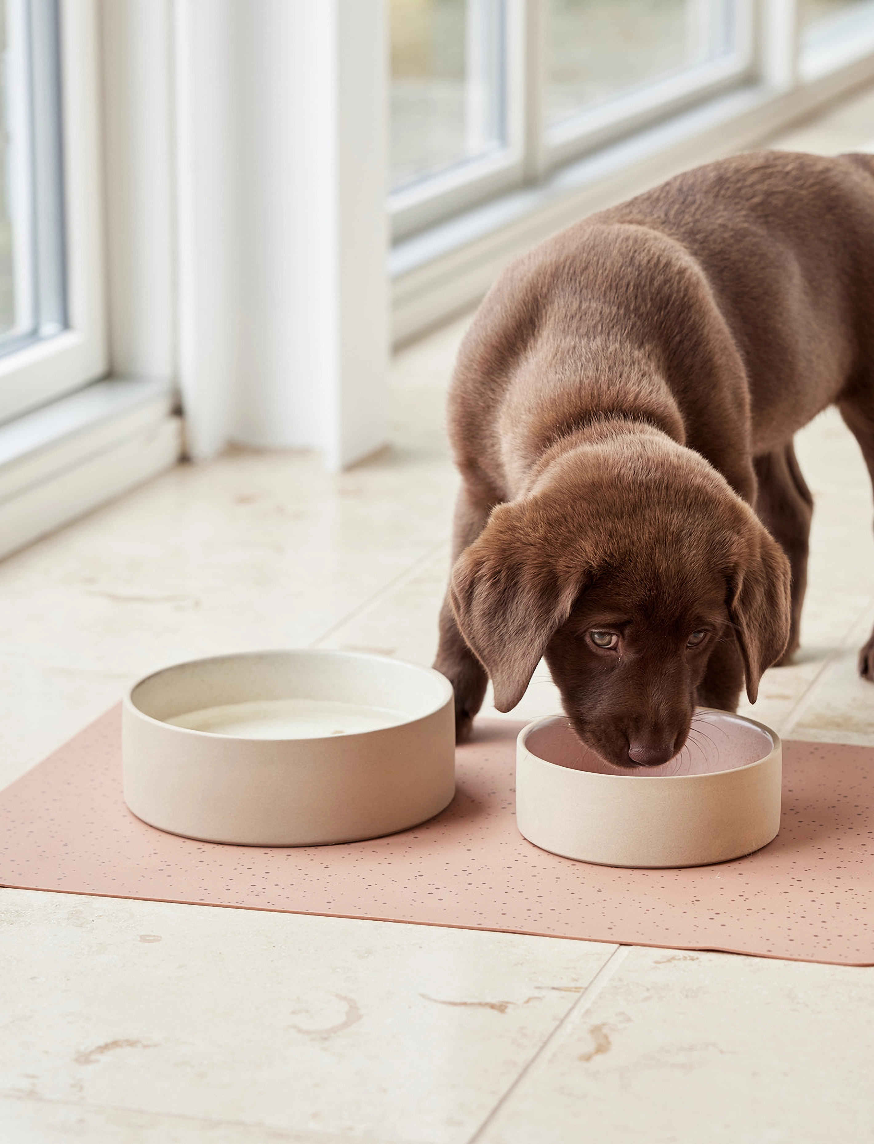 OYOY Living Design Koko Dog Bowl Mat, One Size x 50, Pets, Beige - Food Bowls, Homeware