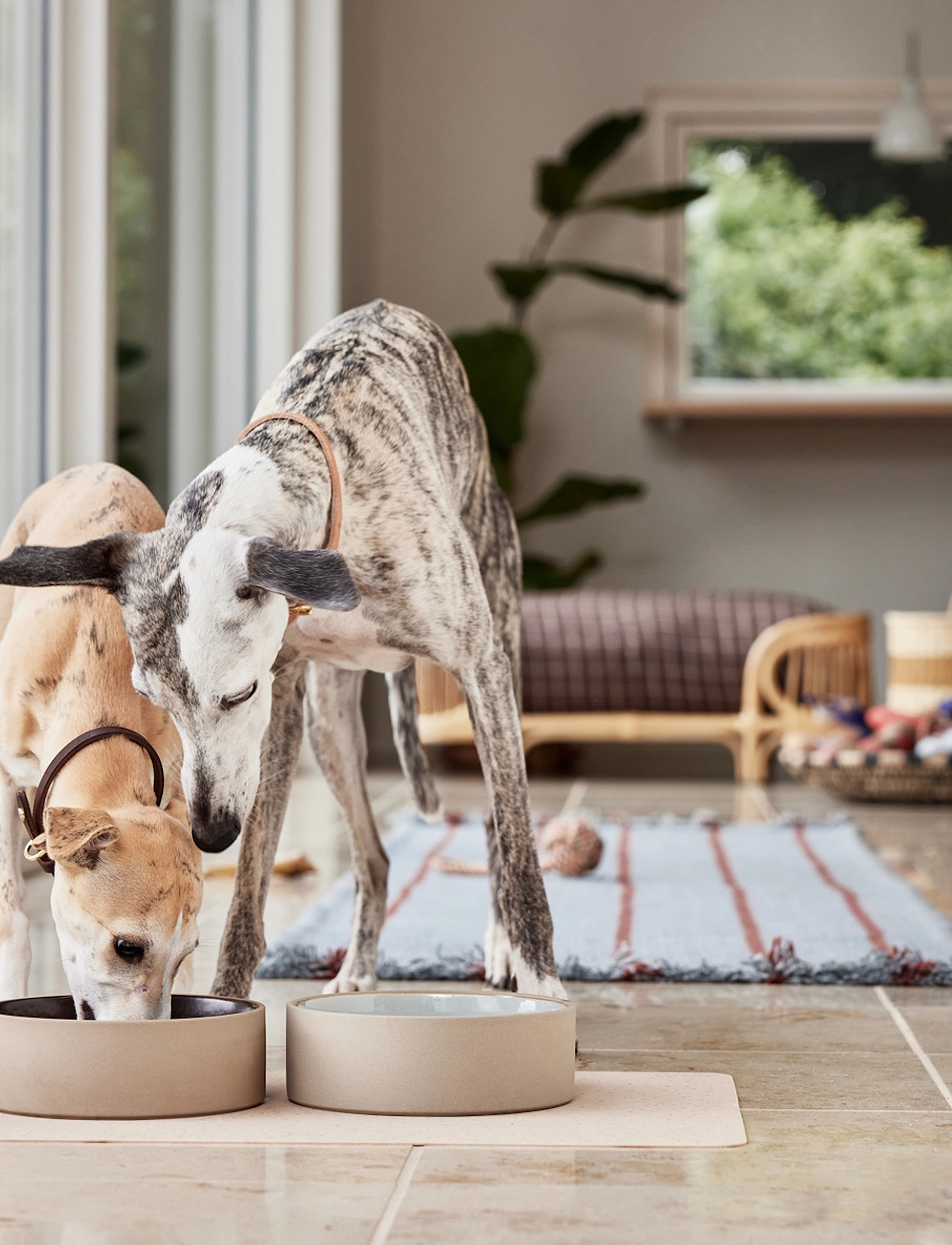 OYOY Living Design - Sia Dog Bowl - animaux domestiques - ice blue - 3