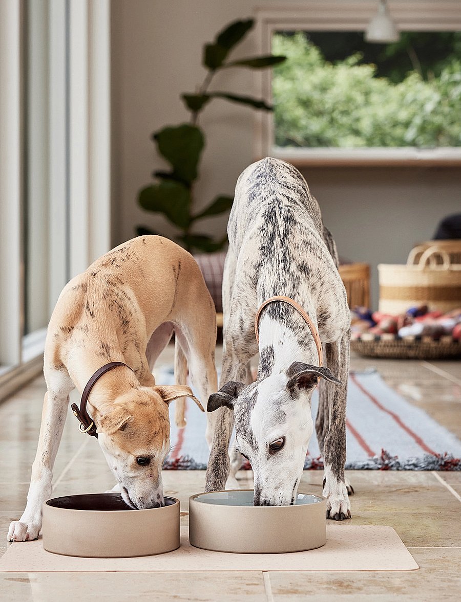 OYOY Living Design - Sia Dog Bowl - lemmikloomadele - choko - 3