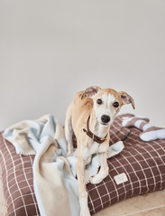OYOY Living Design - Kaya Dog Blanket - die niedrigsten preise - ice - 2