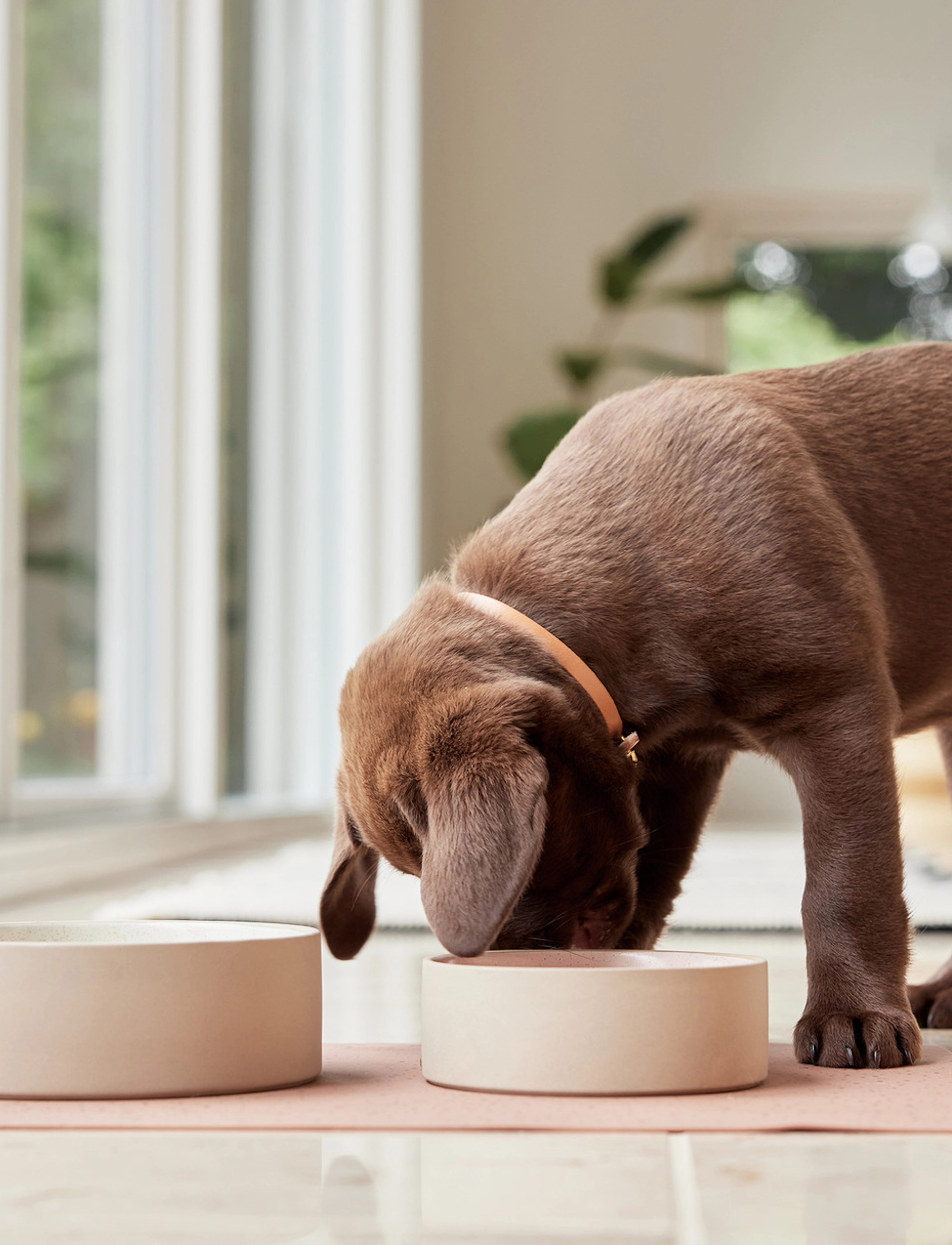 OYOY Living Design - Sia Dog Bowl - lemmikloomadele - ice blue - 4