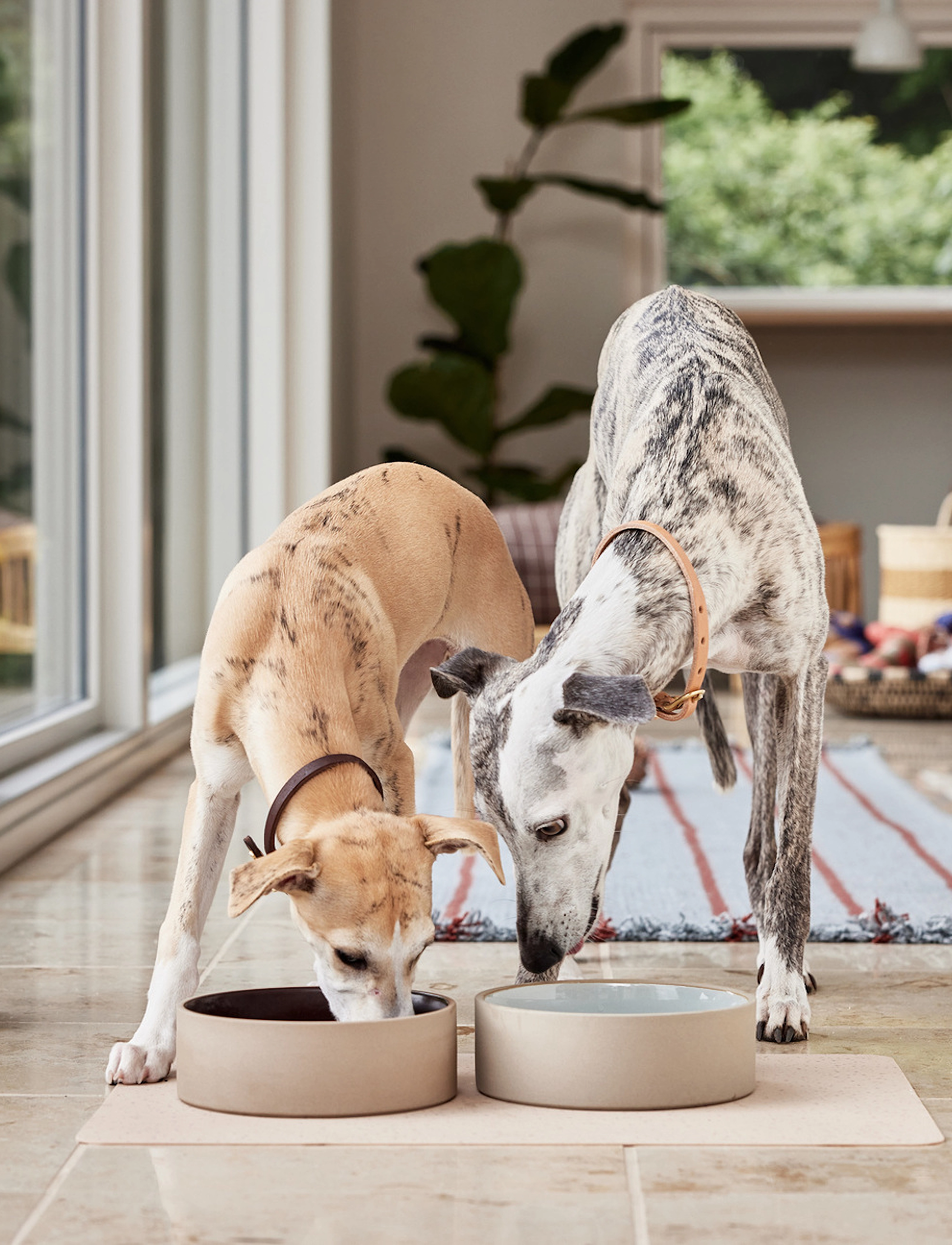 OYOY Living Design Sia Dog Bowl, 820 ml, Pets, Braun - Food Bowls, Homeware
