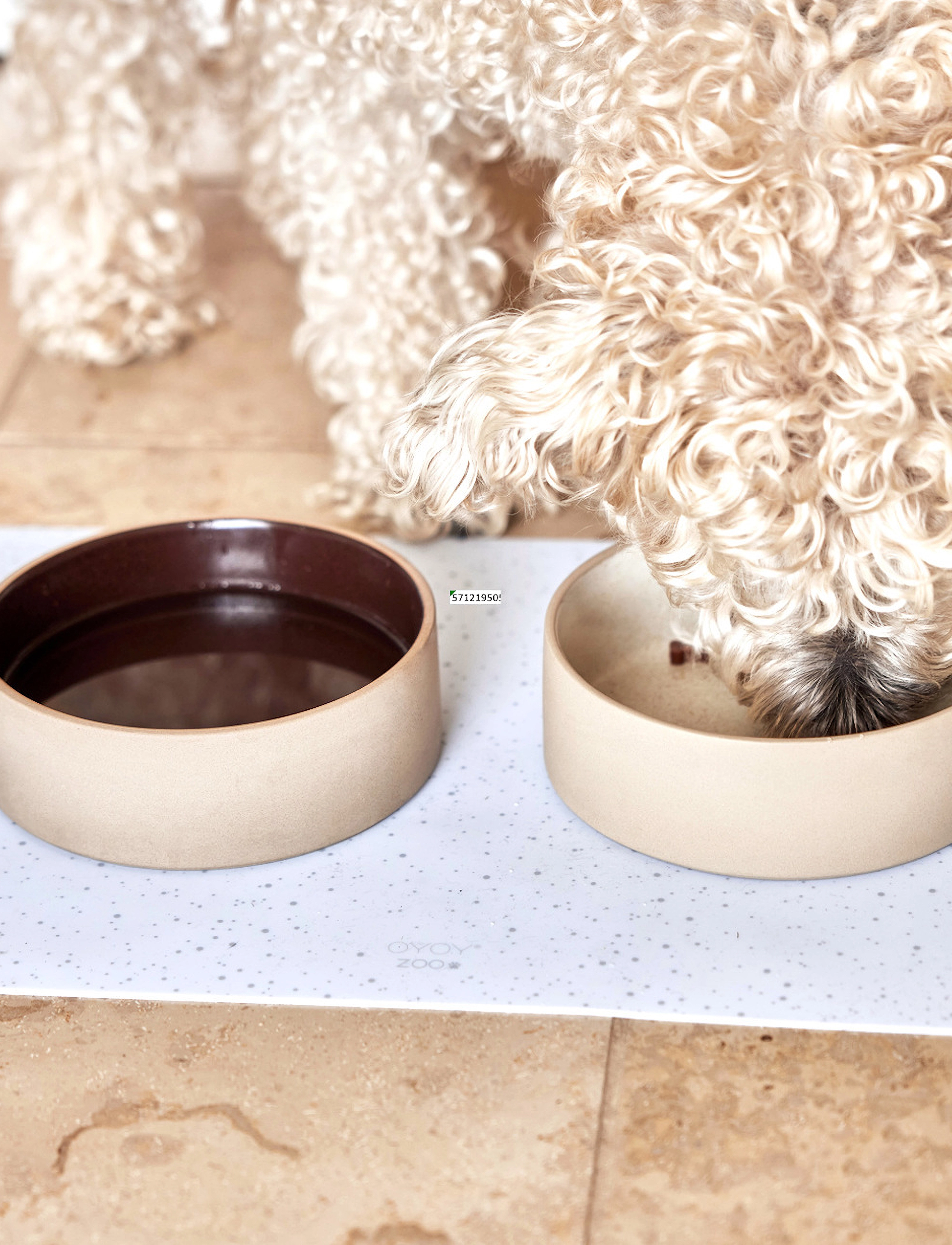 OYOY Living Design - Sia Dog Bowl - animaux domestiques - choko - 5
