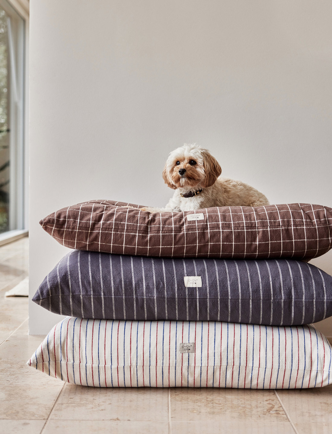Dog bed cushion best sale