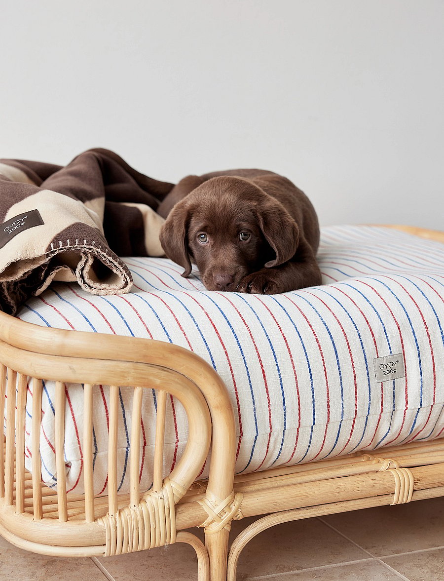 OYOY Living Design - Kyoto Dog Cushion - für die haustiere - mellow - 5