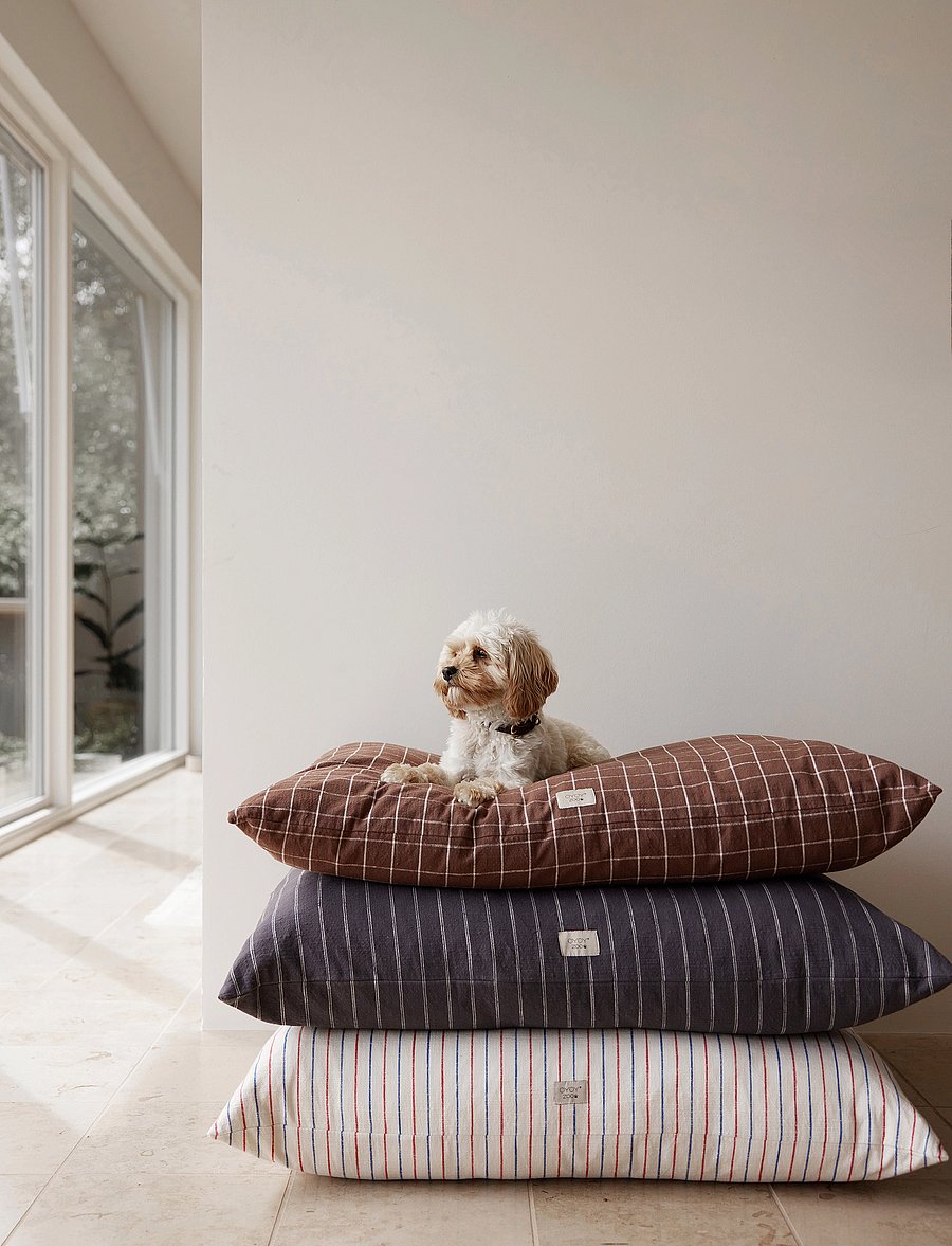 OYOY Living Design - Kyoto Dog Cushion - für die haustiere - anthracite - 3
