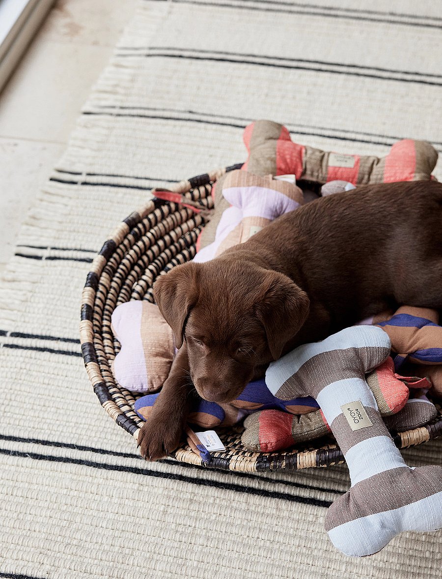OYOY Living Design - Ashi Dog Toy - für die haustiere - lavender - 0