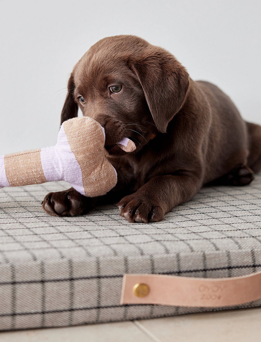 OYOY Living Design - Ashi Dog Toy - für die haustiere - lavender - 2