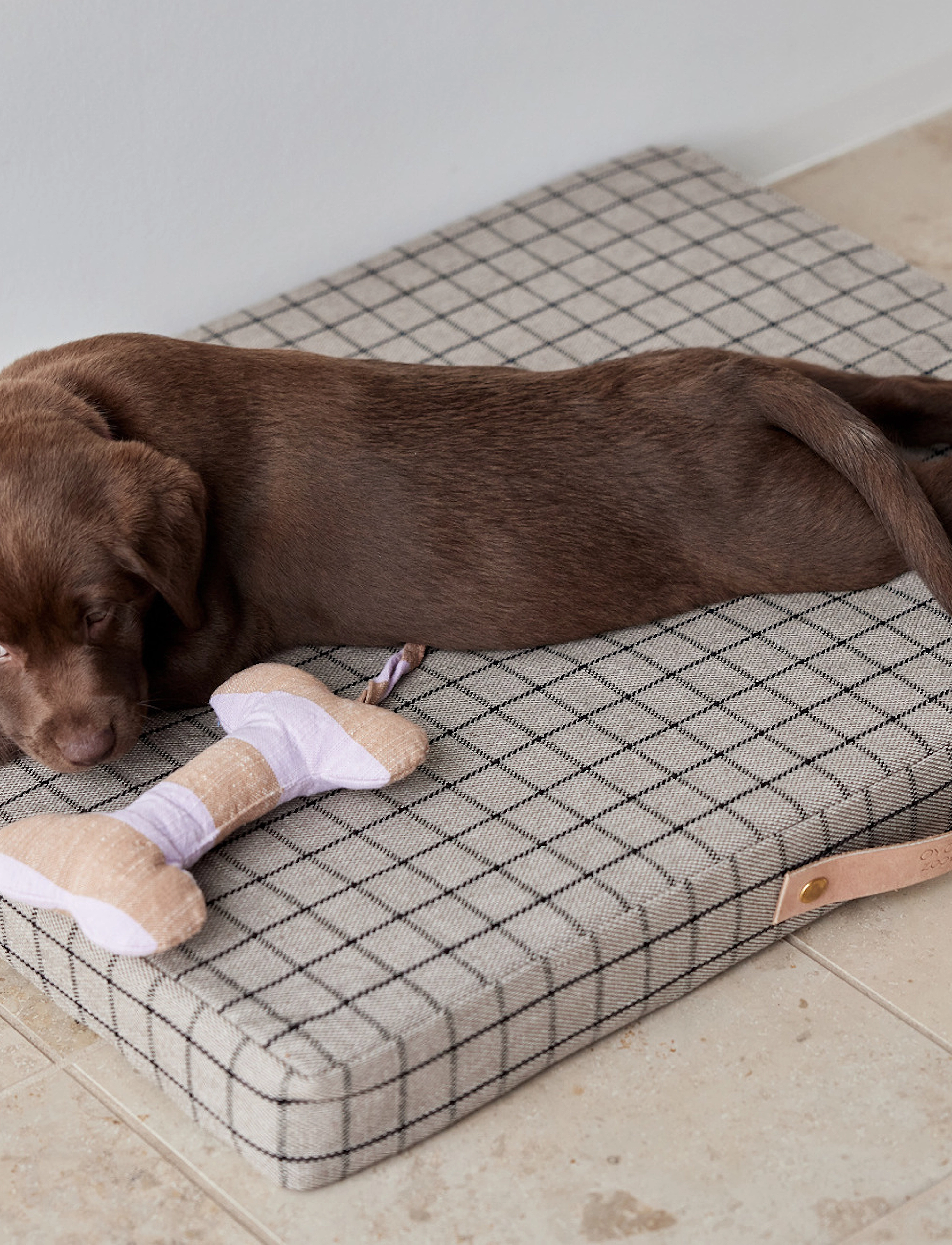OYOY Living Design - Ashi Dog Toy - for pets - lavender - 3