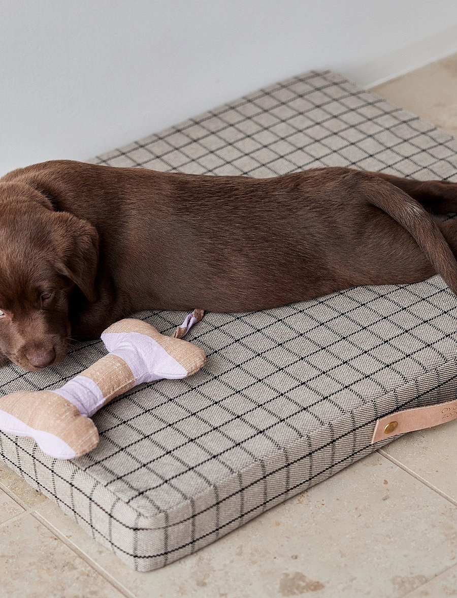 OYOY Living Design - Ashi Dog Toy - für die haustiere - lavender - 3
