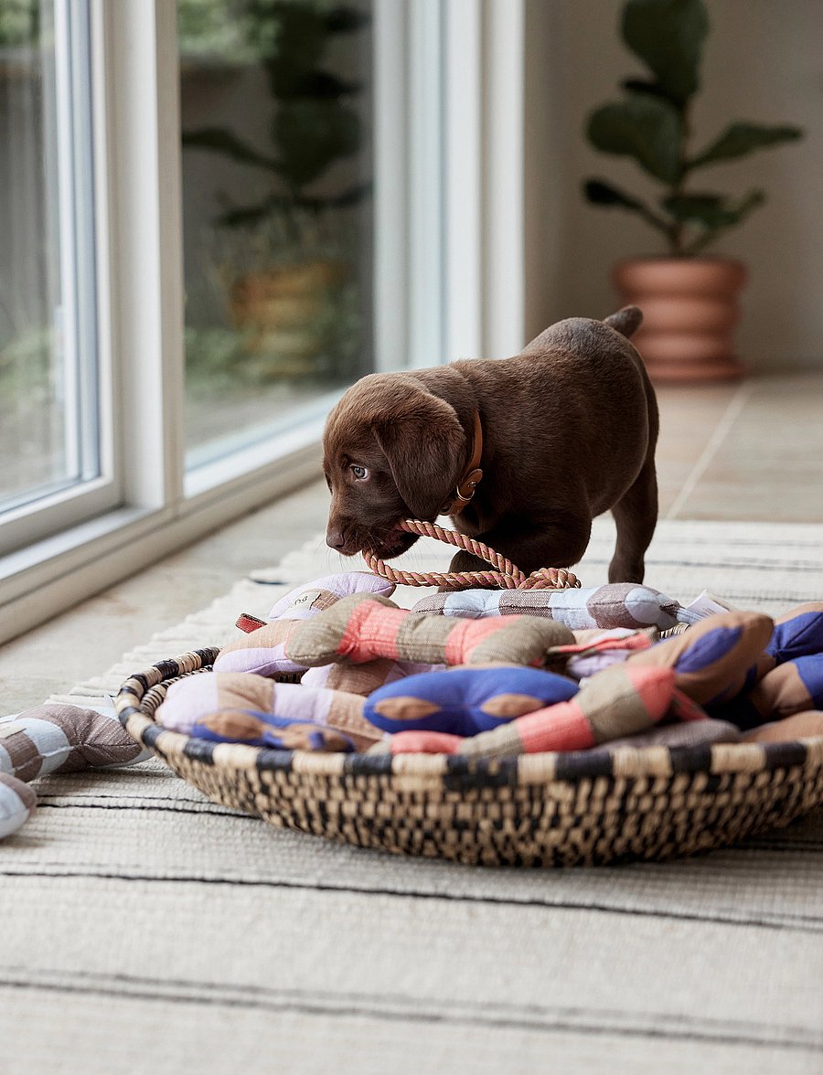 OYOY Living Design - Ashi Dog Toy - für die haustiere - caramel - 0