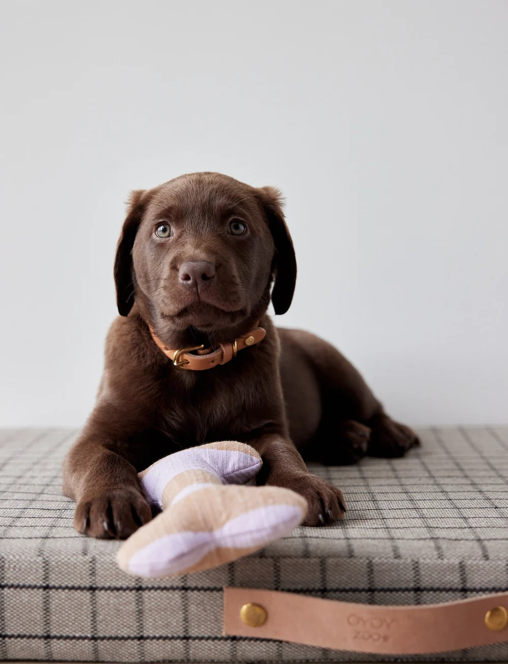 OYOY Living Design - Ashi Dog Toy - nach preis einkaufen - lavender - 2