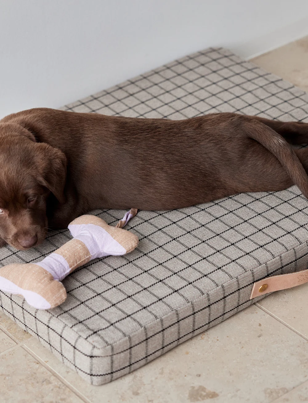 OYOY Living Design - Ashi Dog Toy - nach preis einkaufen - lavender - 3