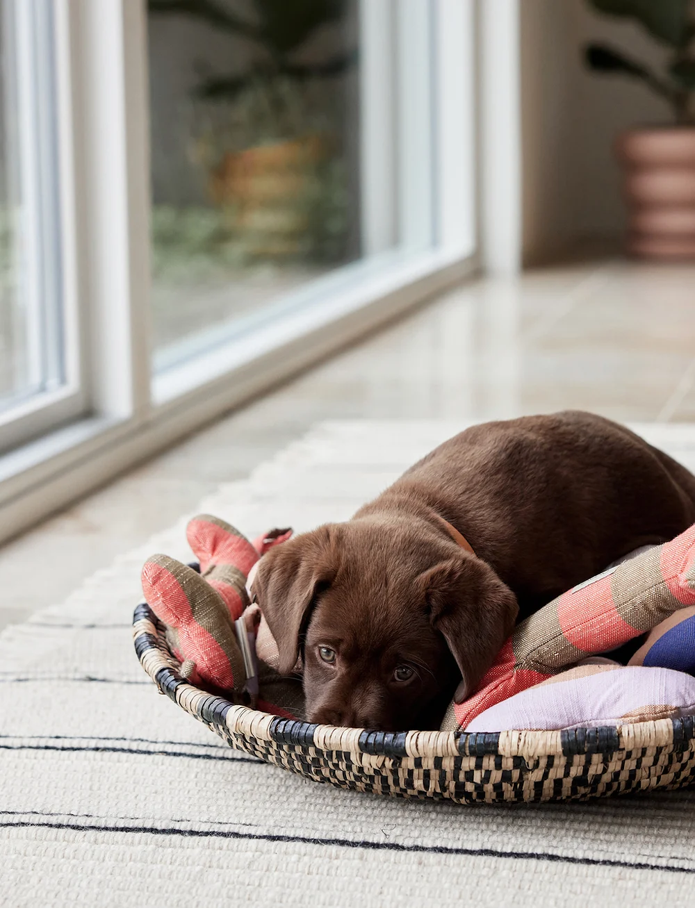 OYOY Living Design - Ashi Dog Toy - nach preis einkaufen - lavender - 4