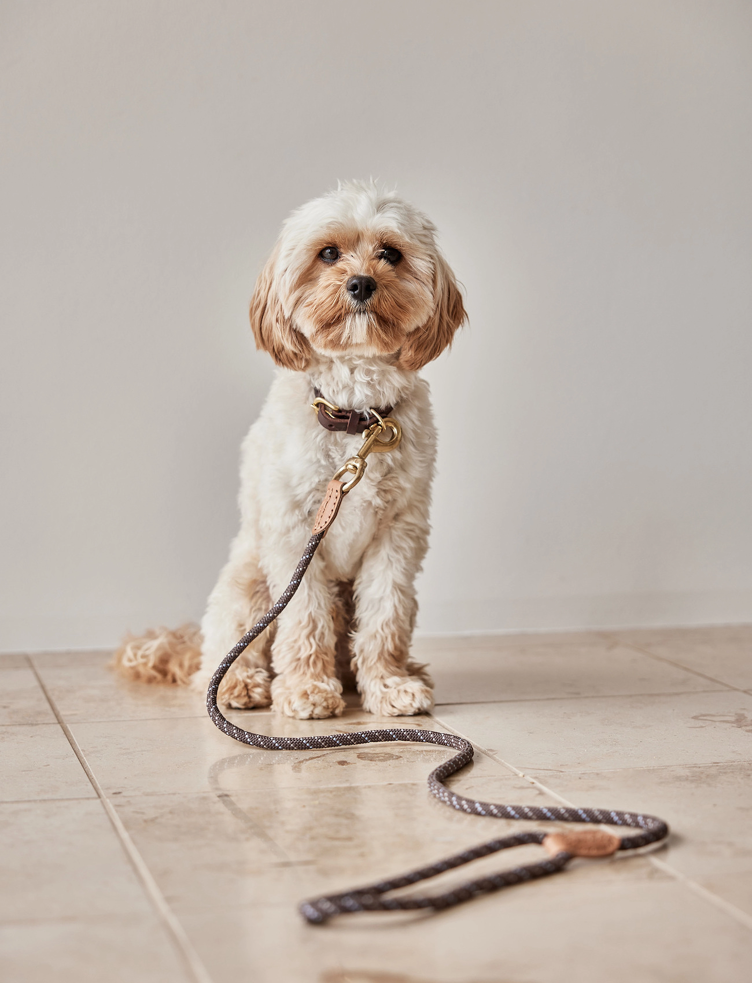 OYOY Living Design Perry Dog Leash, One Size, Pets, Braun - Leashes, Homeware
