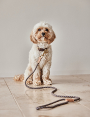 OYOY Living Design - Perry Dog Leash - home - choko - 1