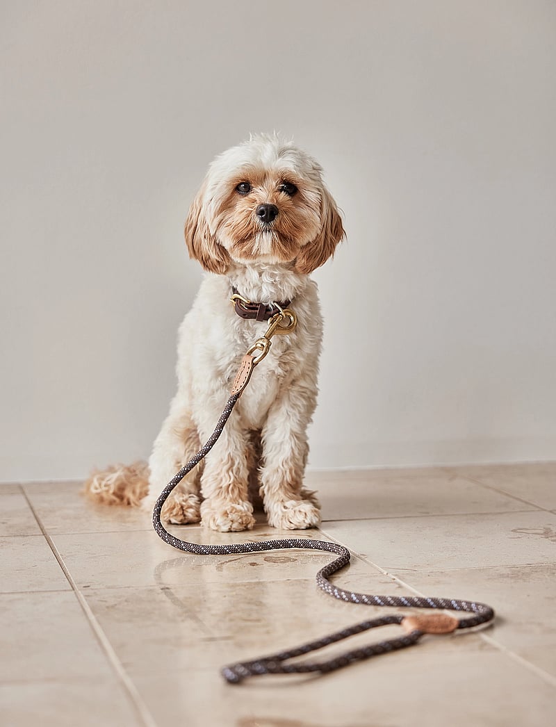 OYOY Living Design - Perry Dog Leash - für die haustiere - choko - 0