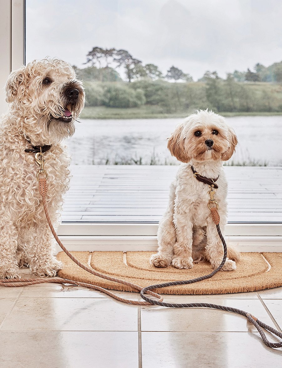 OYOY Living Design - Perry Dog Collar - lemmikloomadele - choko - 0
