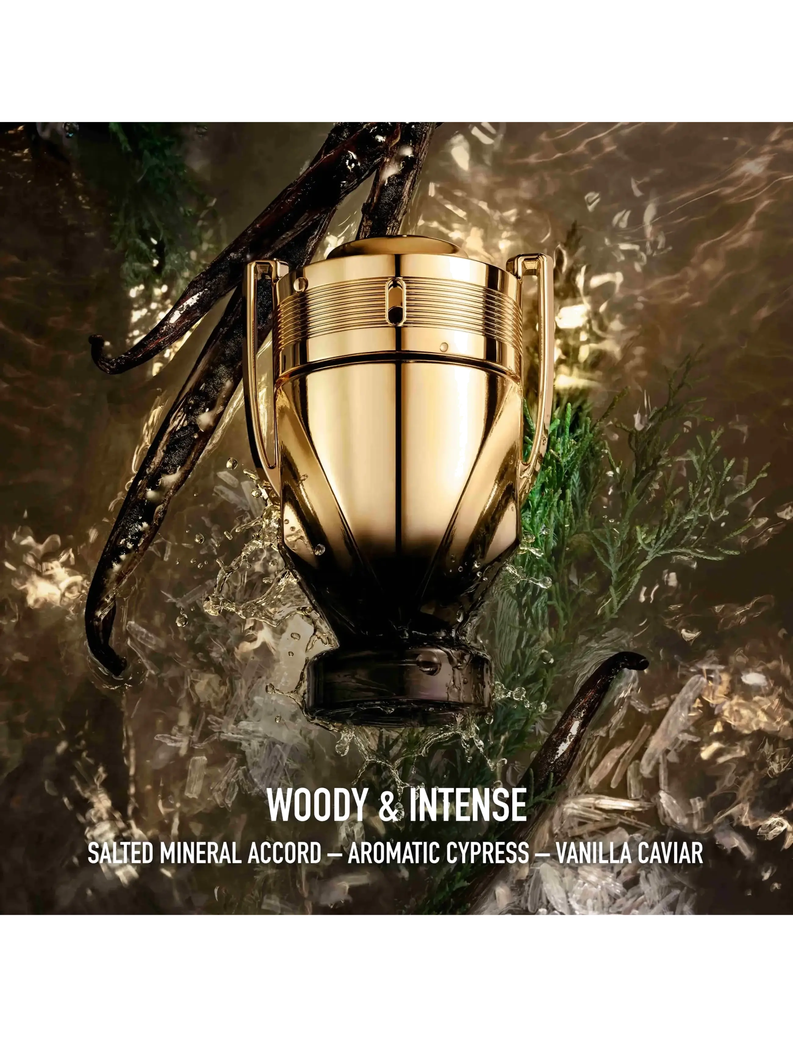 Invictus Elixir Parfum Elixir 3