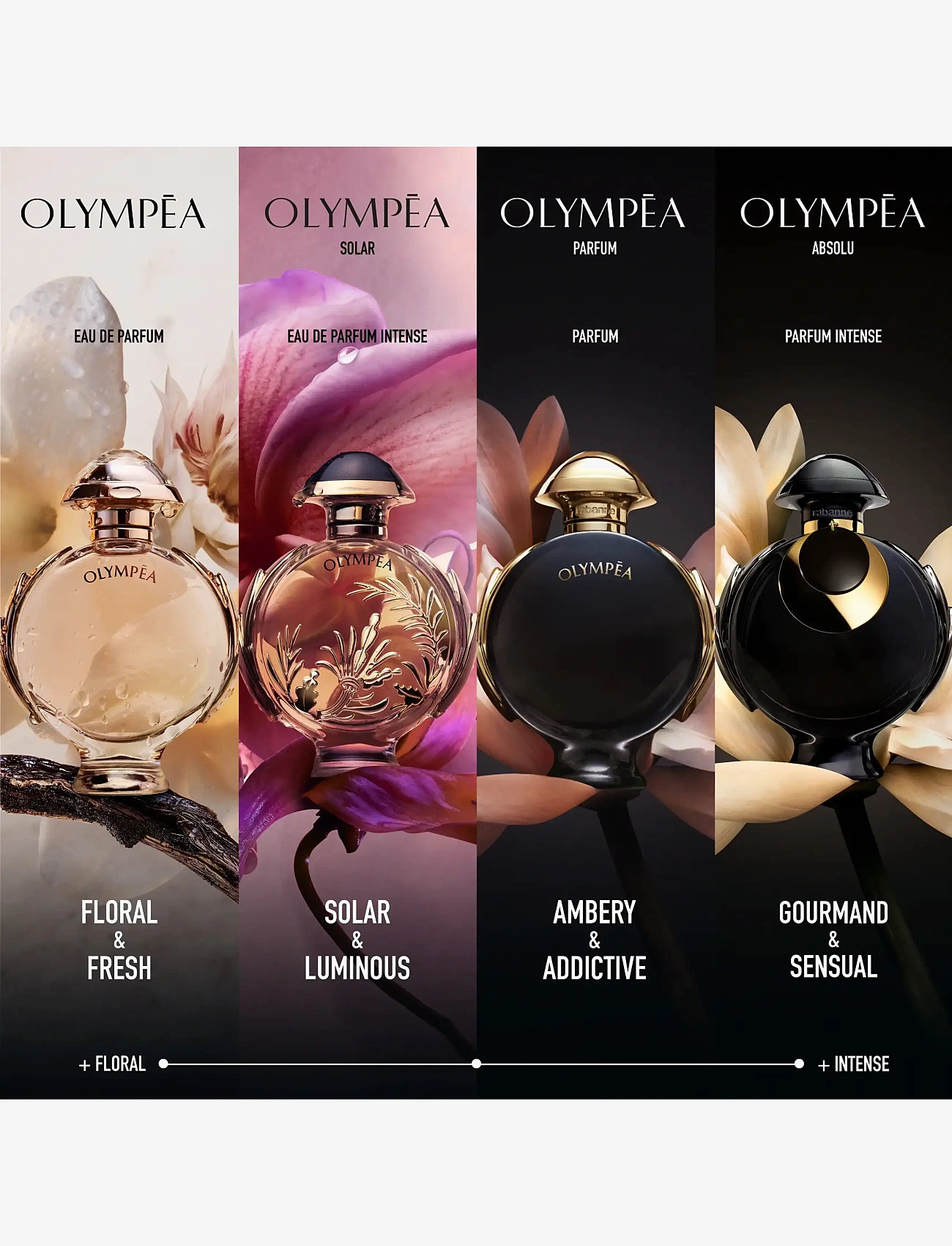 Rabanne - Olympea Absolu Eau de parfum 30.00 ML - sommer parfumer - clear - 3