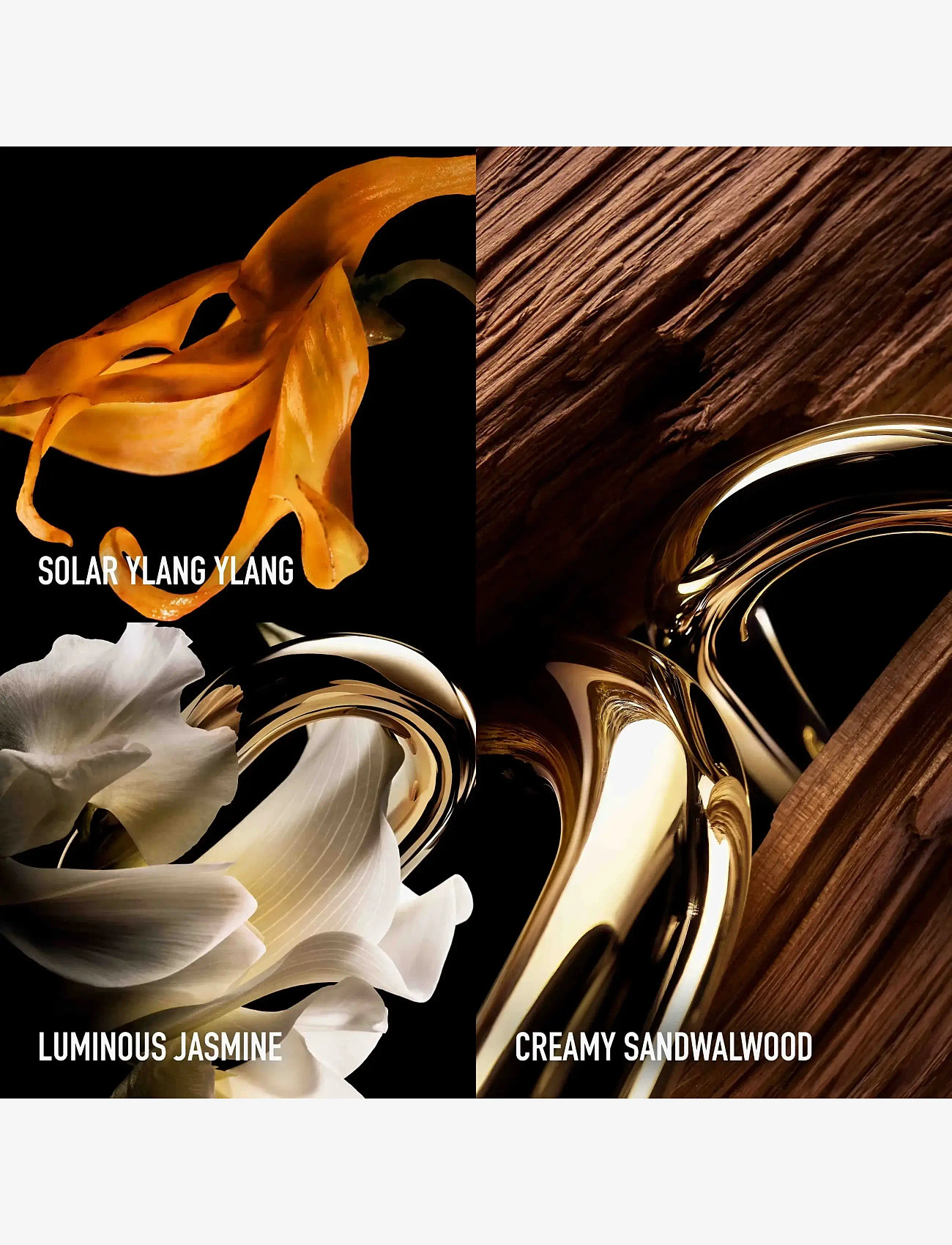 Rabanne - Million Gold For Her Parfum Refill 90 ml - parfym - clear - 3