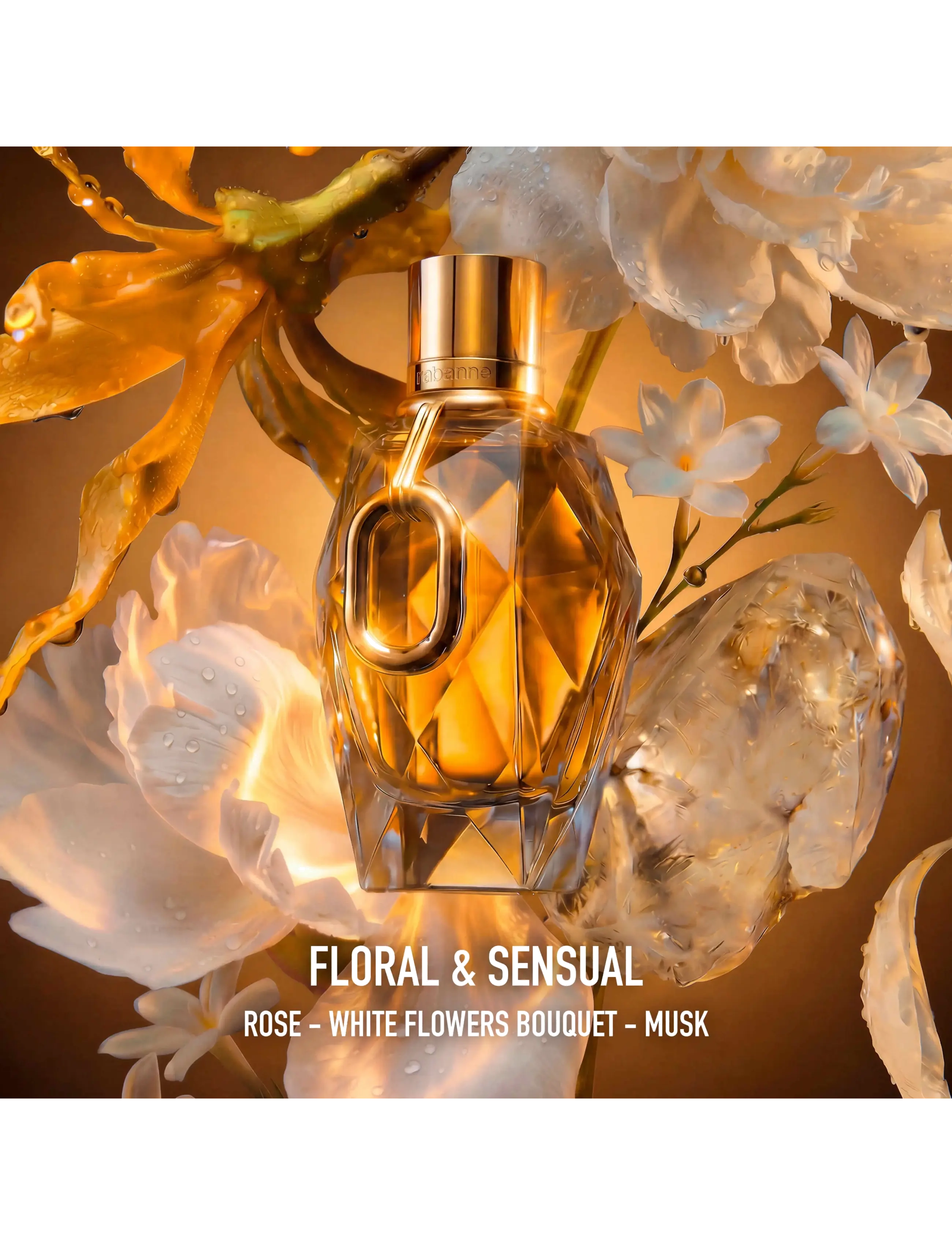 Rabanne - Set Million Gold For Her Eau de Parfum 50 ml + 10 ml - clear - 2