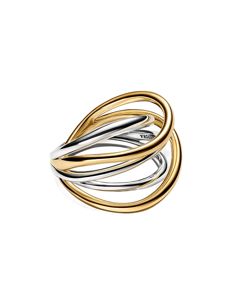 Pandora - Two-Tone Entwined Band Ring - ringen - no color - 2