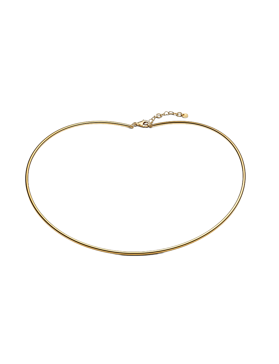 Pandora - Tubular Choker Necklace - halsbänder - no color - 1