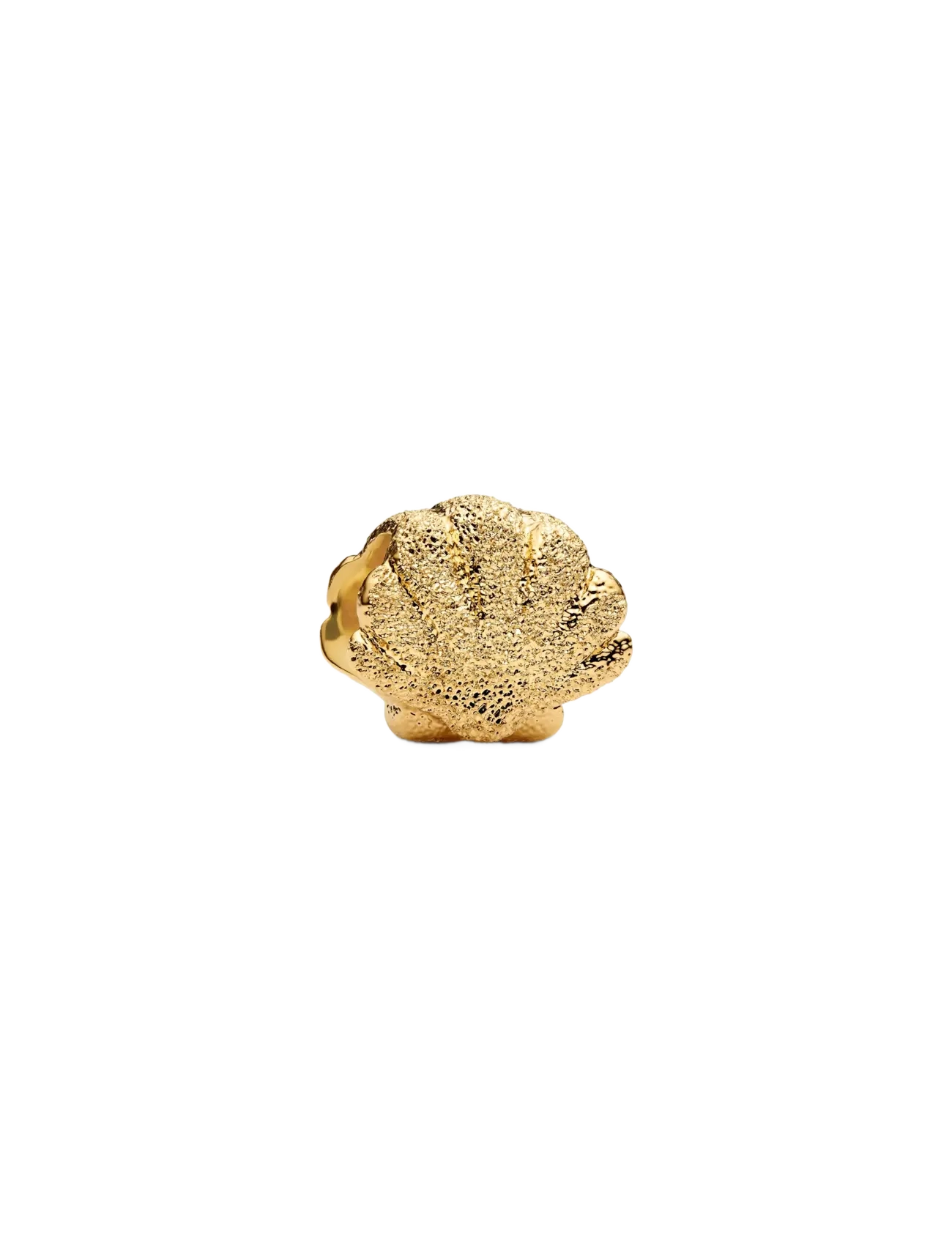 Pandora Textured Shell Mini Charm - Inspiration - NO COLOR / undefined
