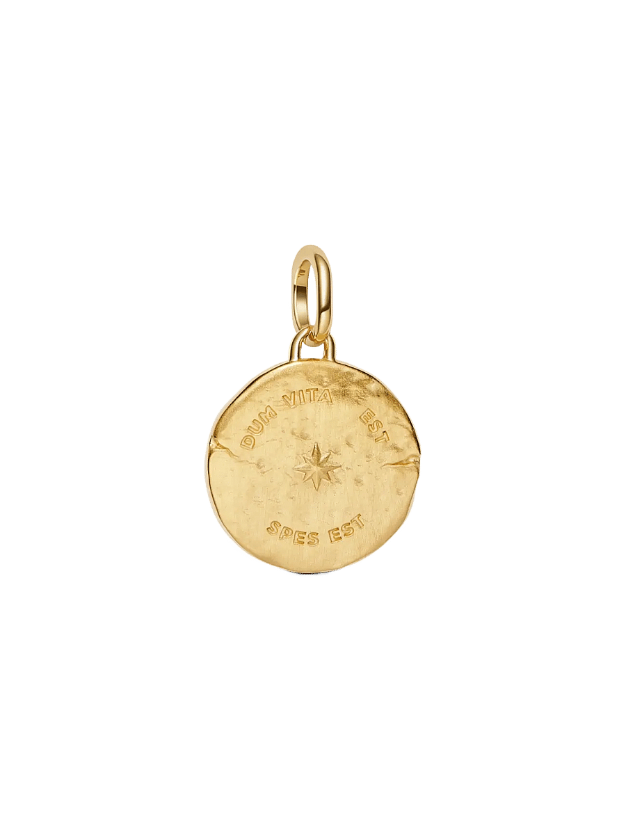 Pandora - Swallow 14k gold-plated medallion with clear cubic zirconia - anhänger - clear - 2