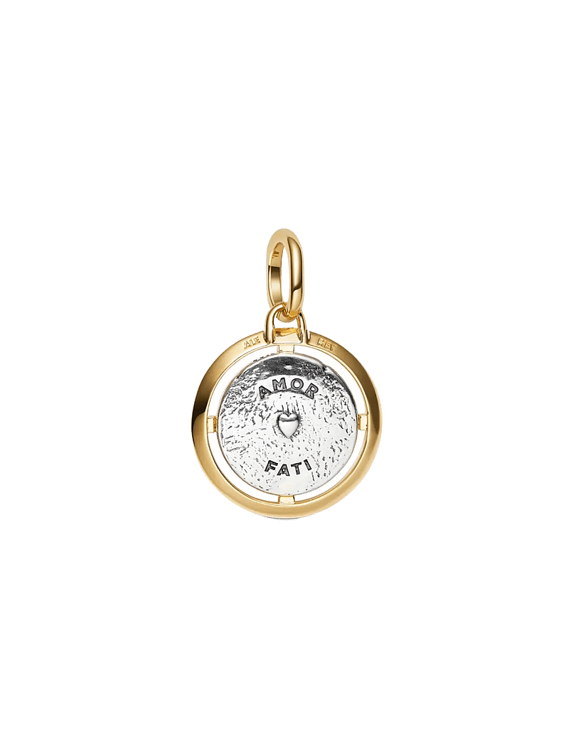 Pandora - Cupids sterling silver and 14k gold-plated medallion with clear cubic zirconia - hängen & berlocker - clear - 2